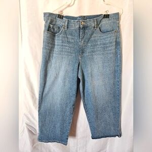 Gloria Vanderbilt Blue Denim Capri Jeans